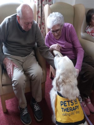 The Lovely Lilly Visits our Elderly Care Home Kettering
